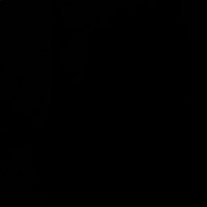 Meet your Posher, Fallout